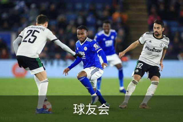 球友会公司简介